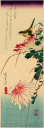 菊とみそさざい　立原位貫　浮世絵　復刻
